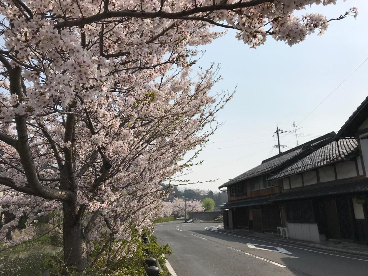 Guesthouse Mio Omihachiman Exterior foto